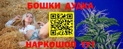 ПСИЛОЦИБИНОВЫЕ ГРИБЫ Кингисепп