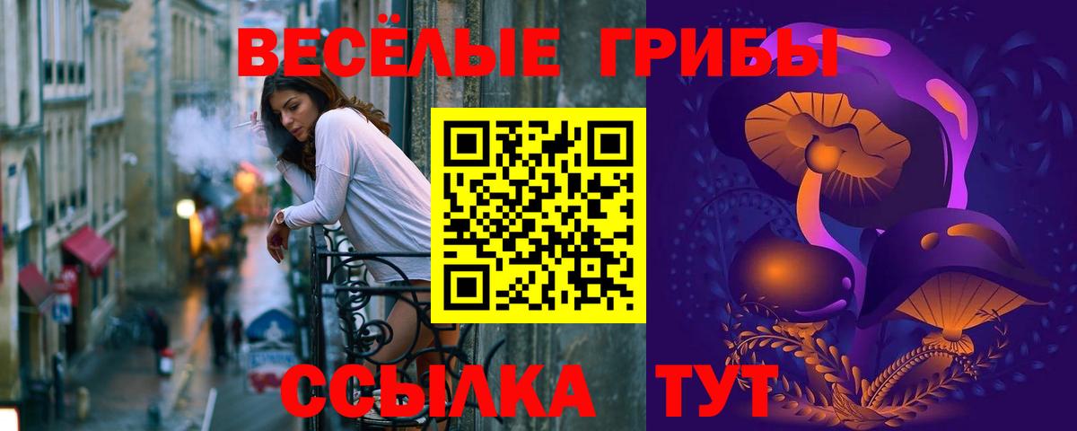 Галлюциногенные грибы Psilocybe  Псилоцибиновые грибы ЛСД  Вход с VPN  Геленджик 