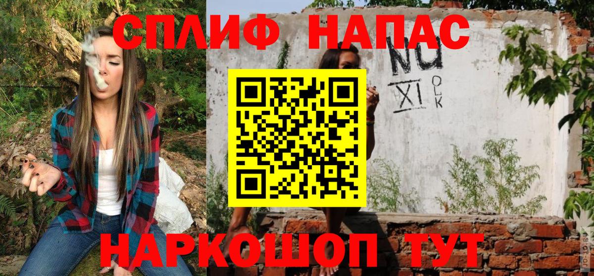 Бошки Шишки тримм Геленджик